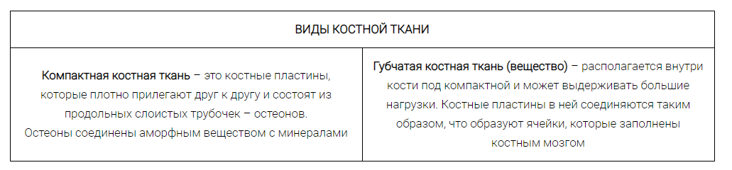 Таблица "Виды костной ткани"