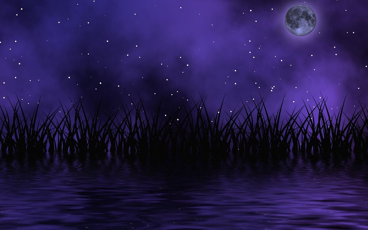 с сайта Pixabay