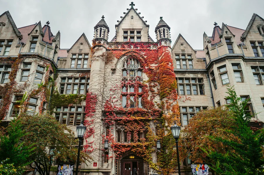Чикагский университет university of chicago сша. Университет иллинойса в чикаго. Пенсильванский университет. Чикагский университет (university of chicago), сша здание внутри. Чикагский университет (university of chicago), сша здание внутри.