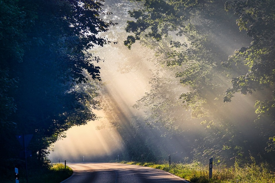 https://pixabay.com/photos/fog-sunbeam-road-trees-mood-4479936/