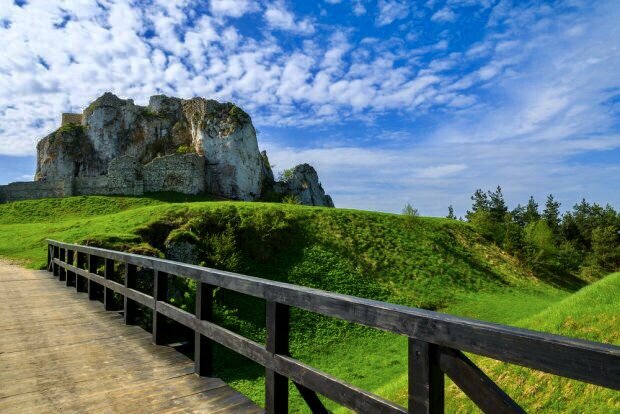 Фото редактор 