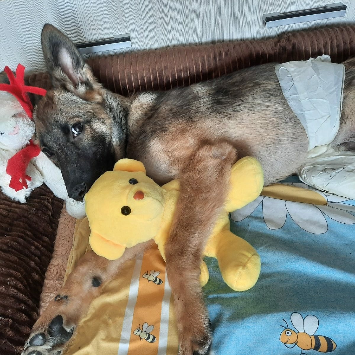 Малыш любит спать с игрушками.