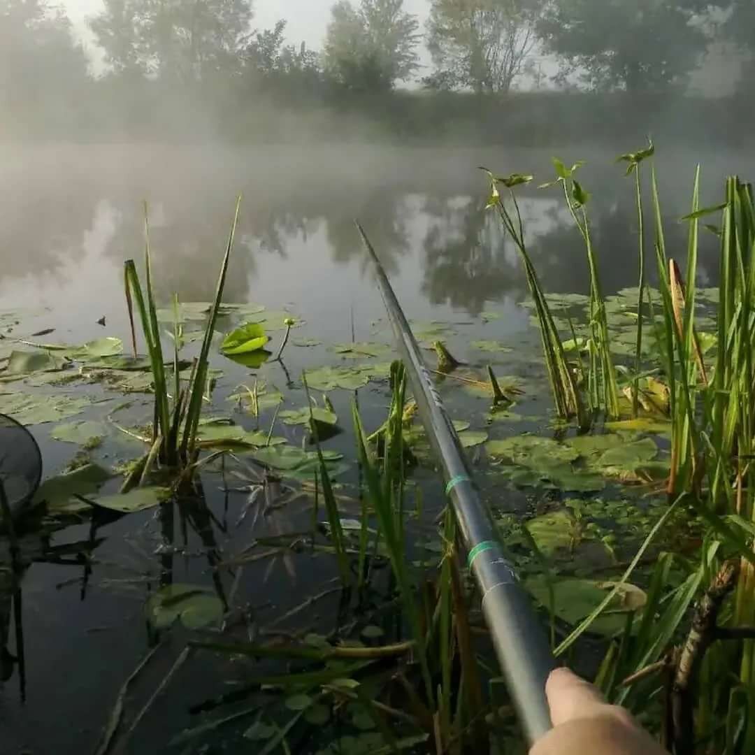 Рыбалка от первого лица