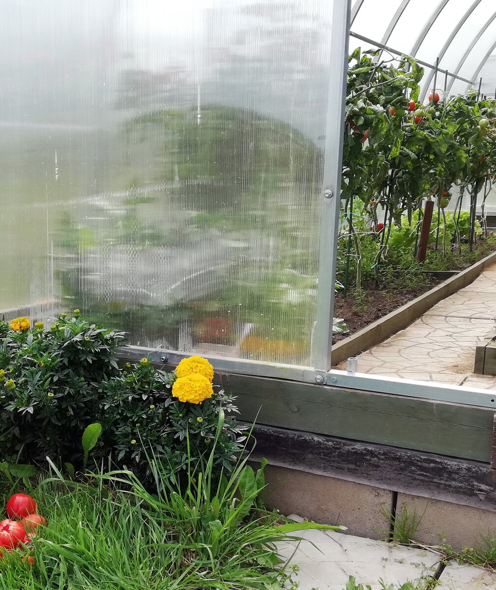 Довольно близко показаны все "слои", на которые поставлена теплица. Фото автора