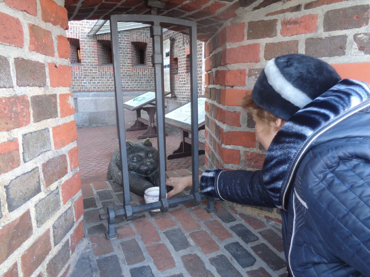 Кот в Фридрихсбургских воротах. Привет, котик!