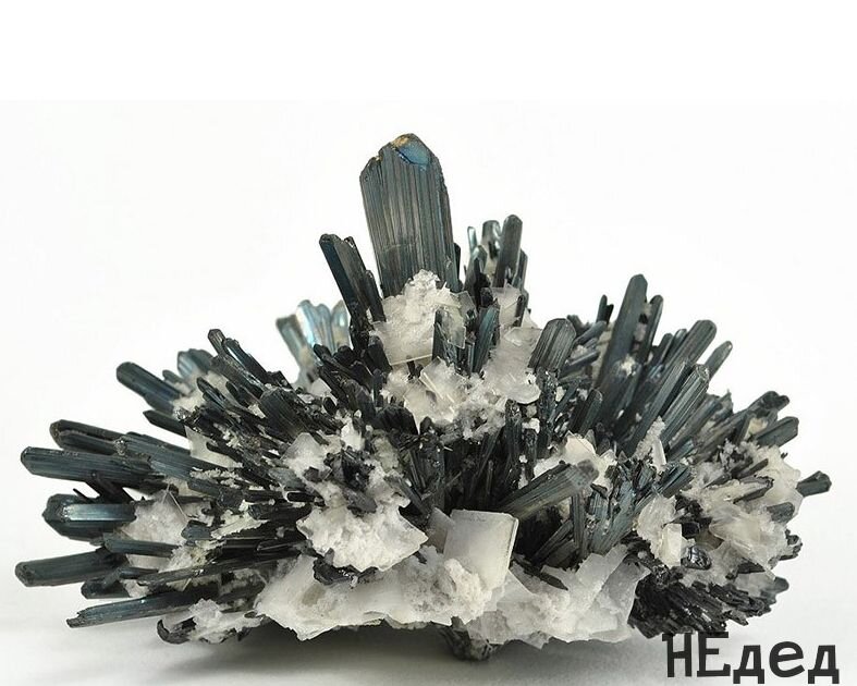 ВОТ ОН, КРАСАВЕЦ!