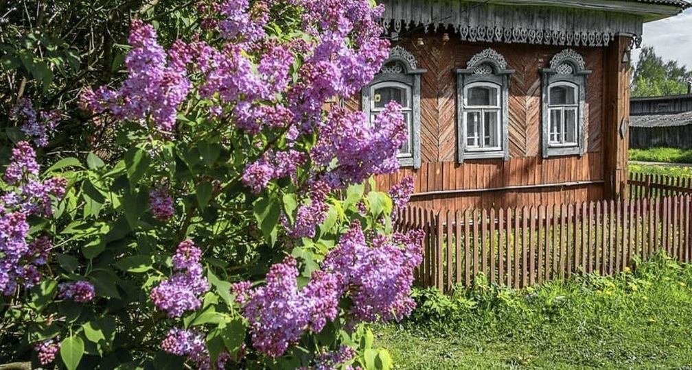 Анна Васильевна открыла калитку и из её груди вырвался не то крик, не то стон...