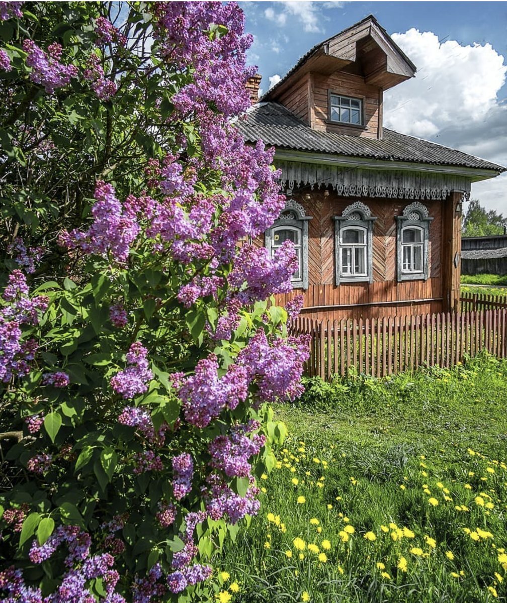 Яндекс.Картинки