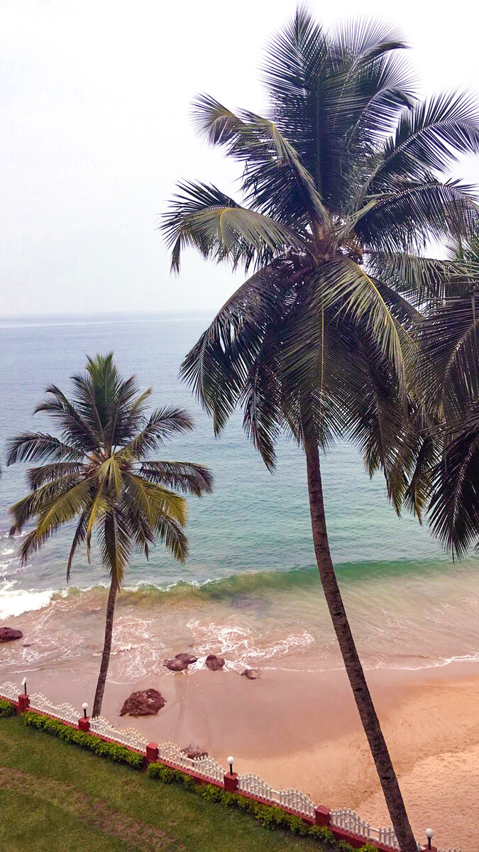 Вид из окна отеля в Гоа