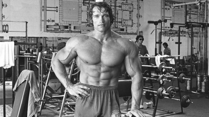 Стоковые фотографии по запросу Arnold