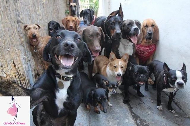  Фото с сайта https://worldofwomen.club/