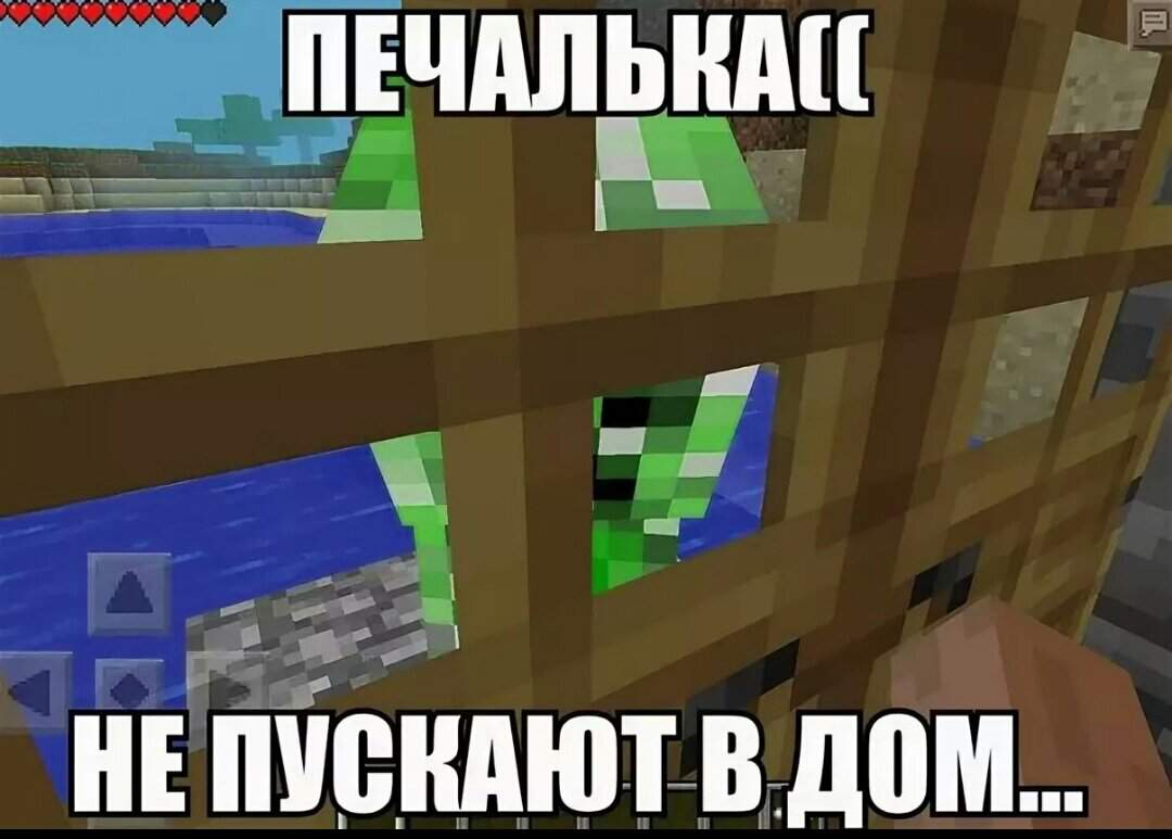 (фото из открытых источников)