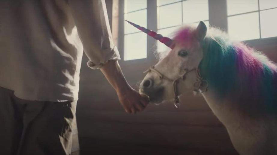 Фото из Яндекс картинки бесплатно. Не реклама