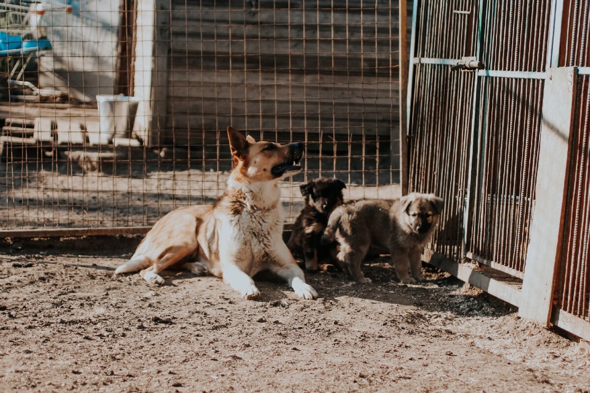 Мама Вики, Эвори и её сестра