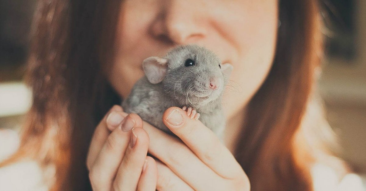 фото с сайта www.pikabu.ru