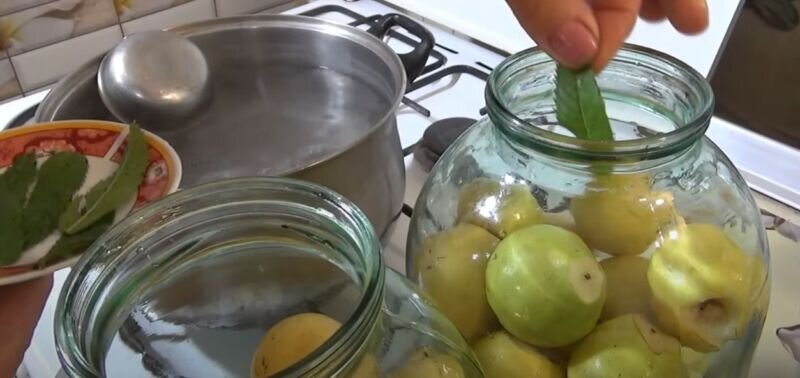 Лучшие рецепты компота из яблок на зиму с фото
