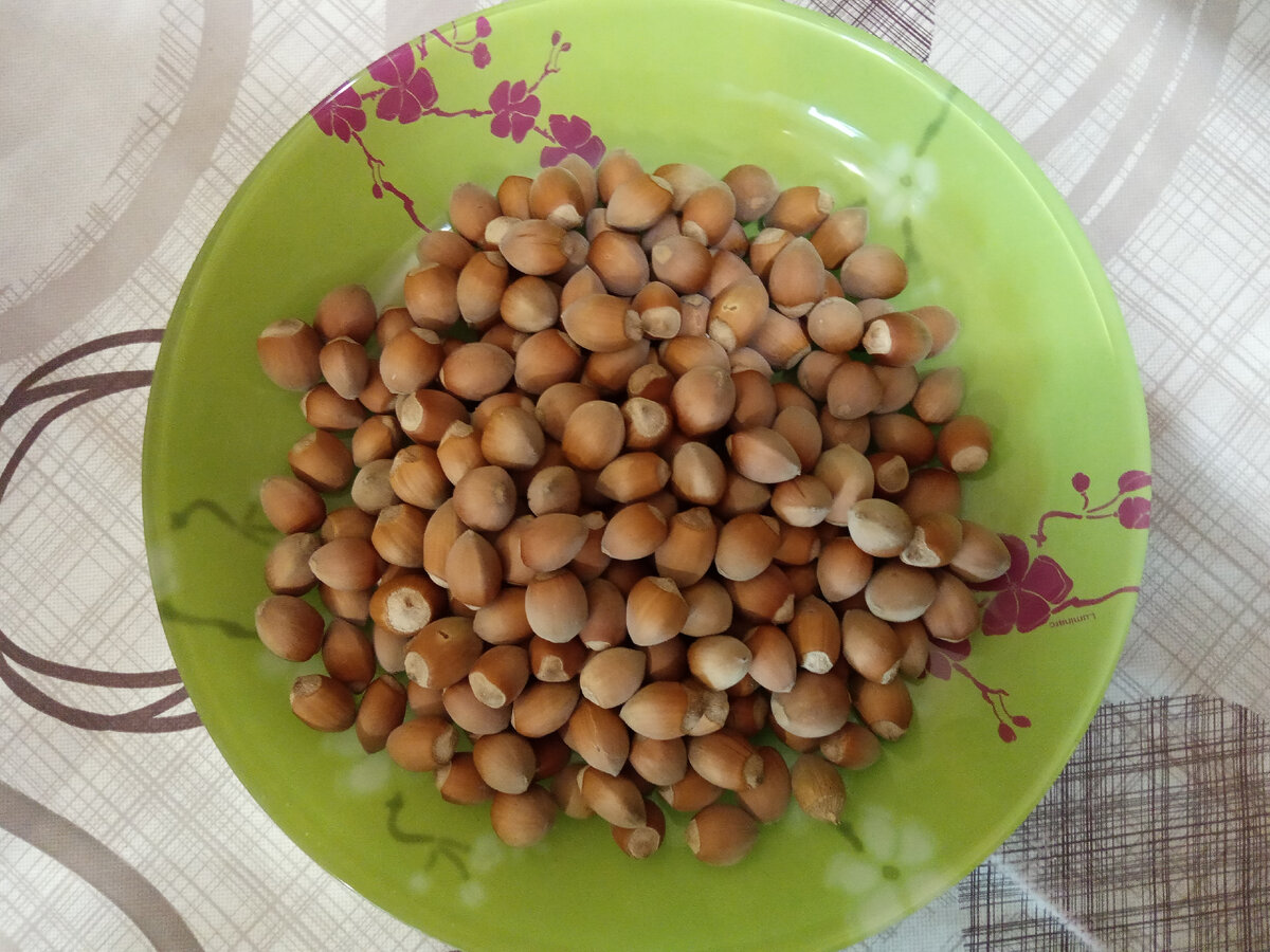 Фото из личного архива