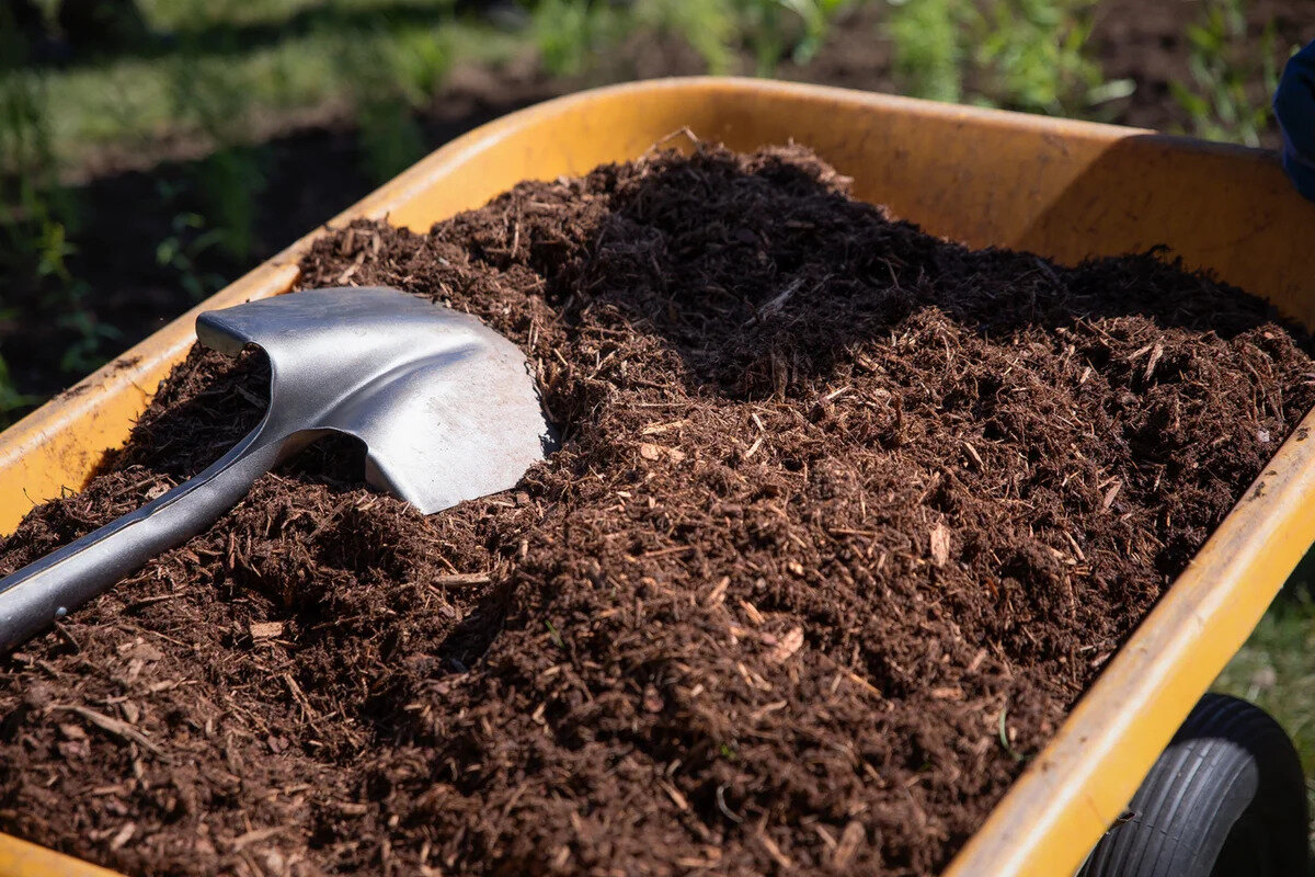 Листья перегной. Компост из куриного помета. Чернозем для баклажан. Karek Fertilizers Australia Mulch.