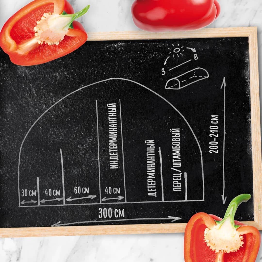 СХЕМА РАЗМЕЩЕНИЯ НОСИТ РЕКОМЕНДАТЕЛЬНЫЙ ХАРАКТЕР И ЯВЛЯЕТСЯ ОДНИМ ВАРИАНТОМ РАЗМЕЩЕНИЯ