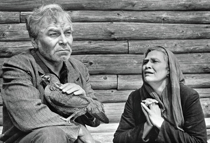 Изображение взято с открытых источников