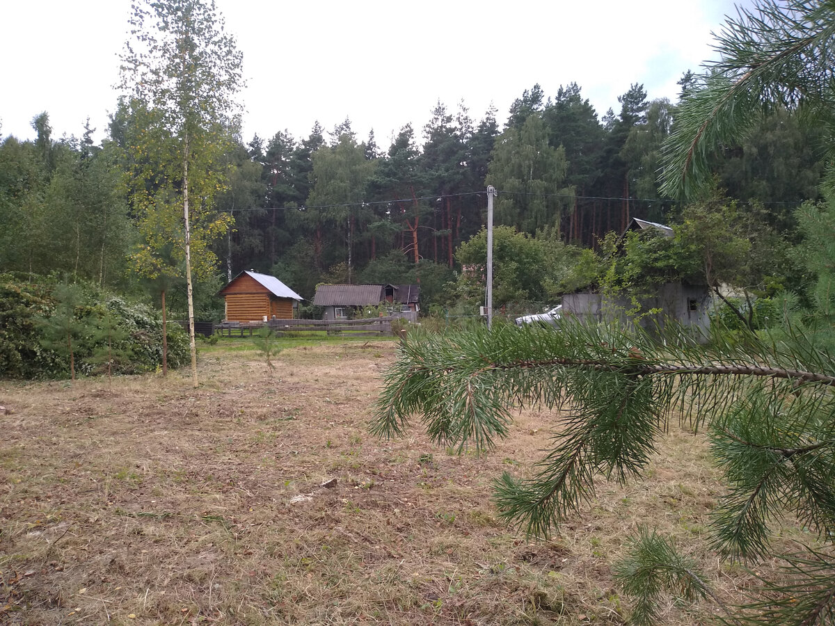 Вот в таком красивом месте мы купили участок!