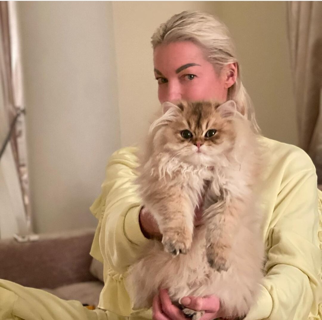 Новый питомец