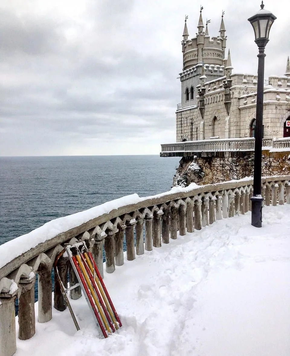Непривычно видеть наш южнобережный  символ в снегу! Фото с Яндекс.картинки
