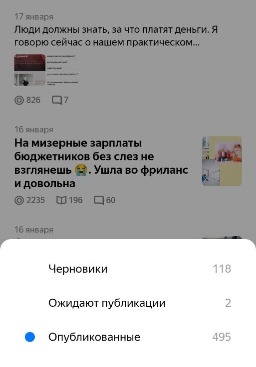 Скрин количества публикаций в тревел блоге на Дзене