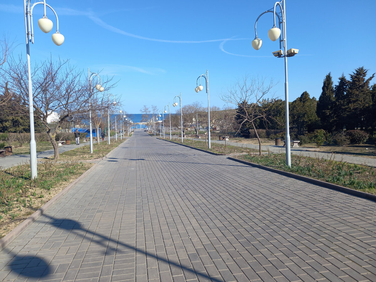 Центральная аллея в парке