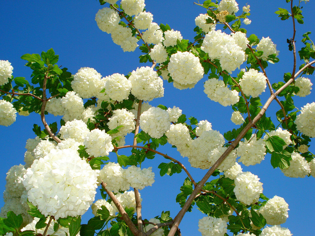 Бульденеж   https://vk.cc/ccfNJE 