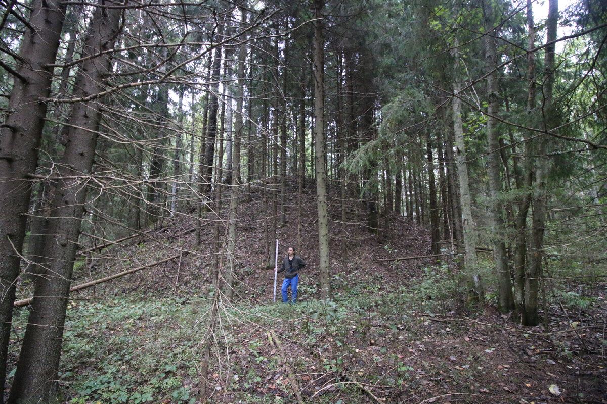 Сопки у д. Заручевье