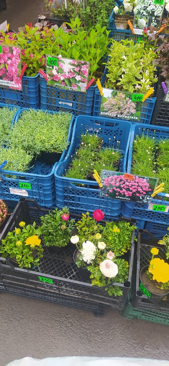 Одна из моих любимых цветочных точек