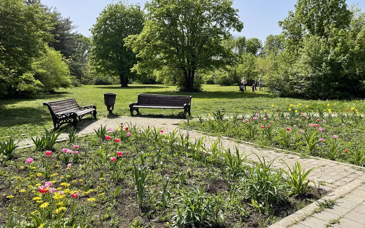 Если вы не научитесь любить себя, то вы не сможете любить других и выстраивать с людьми гармоничные отношения.