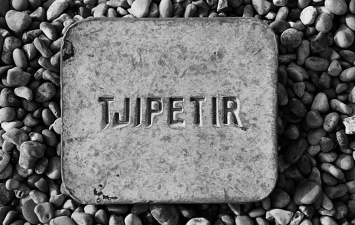 Все фото взяты из открытых источников