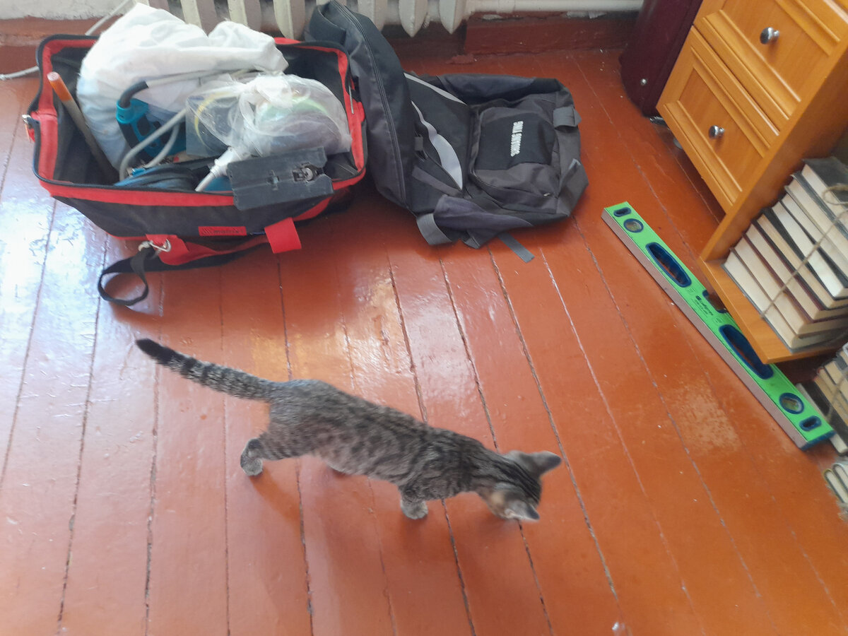 Кузя активно помогает разбирать вещи.