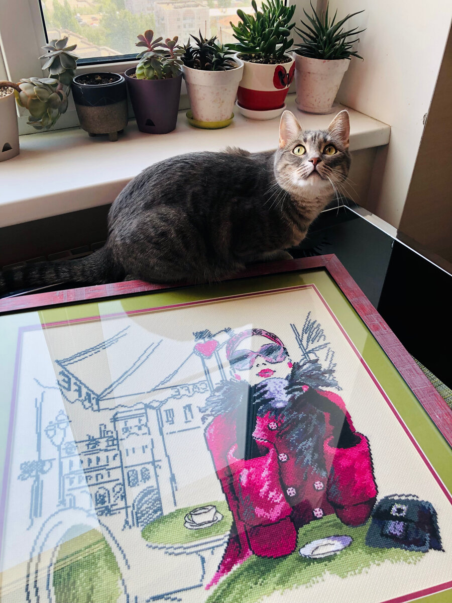 Чикетти в шоке от размера вышивки