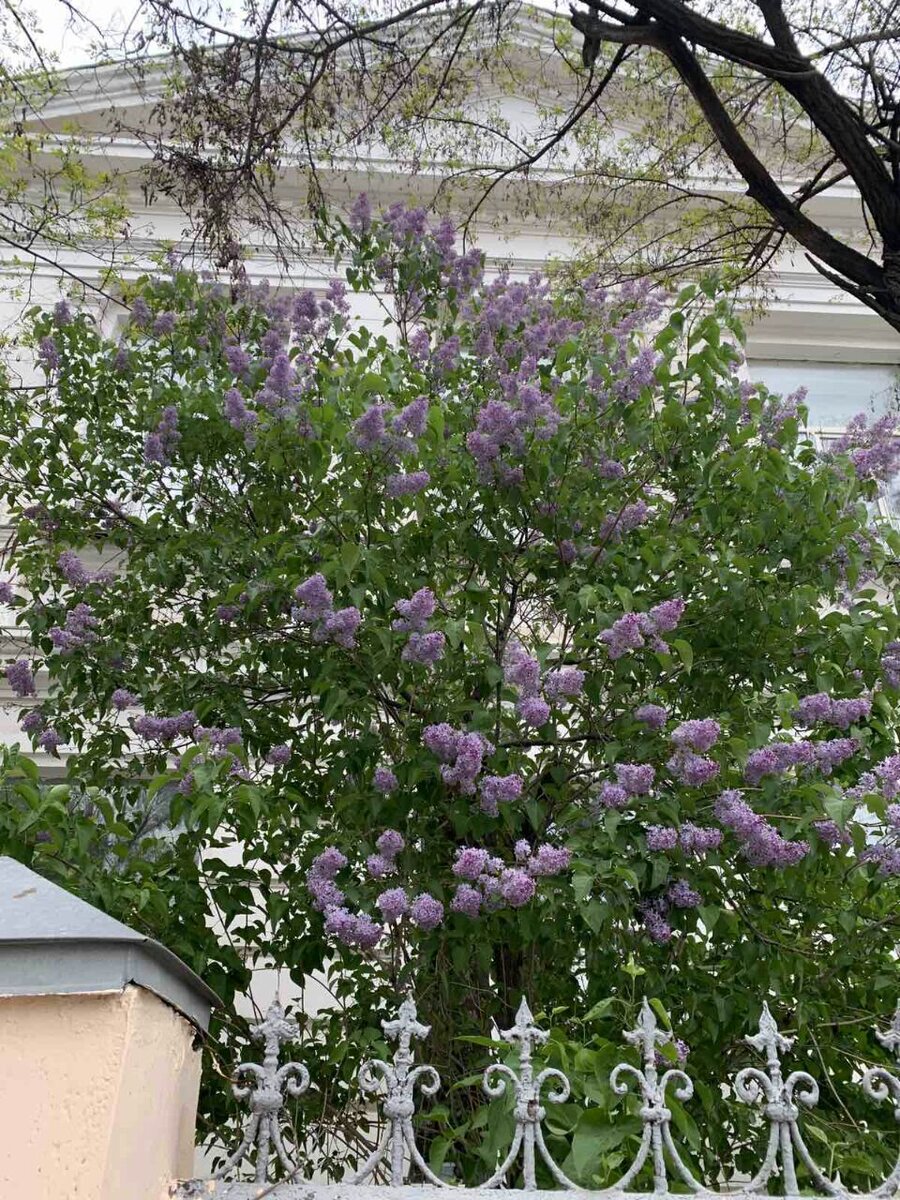 Фото автора.