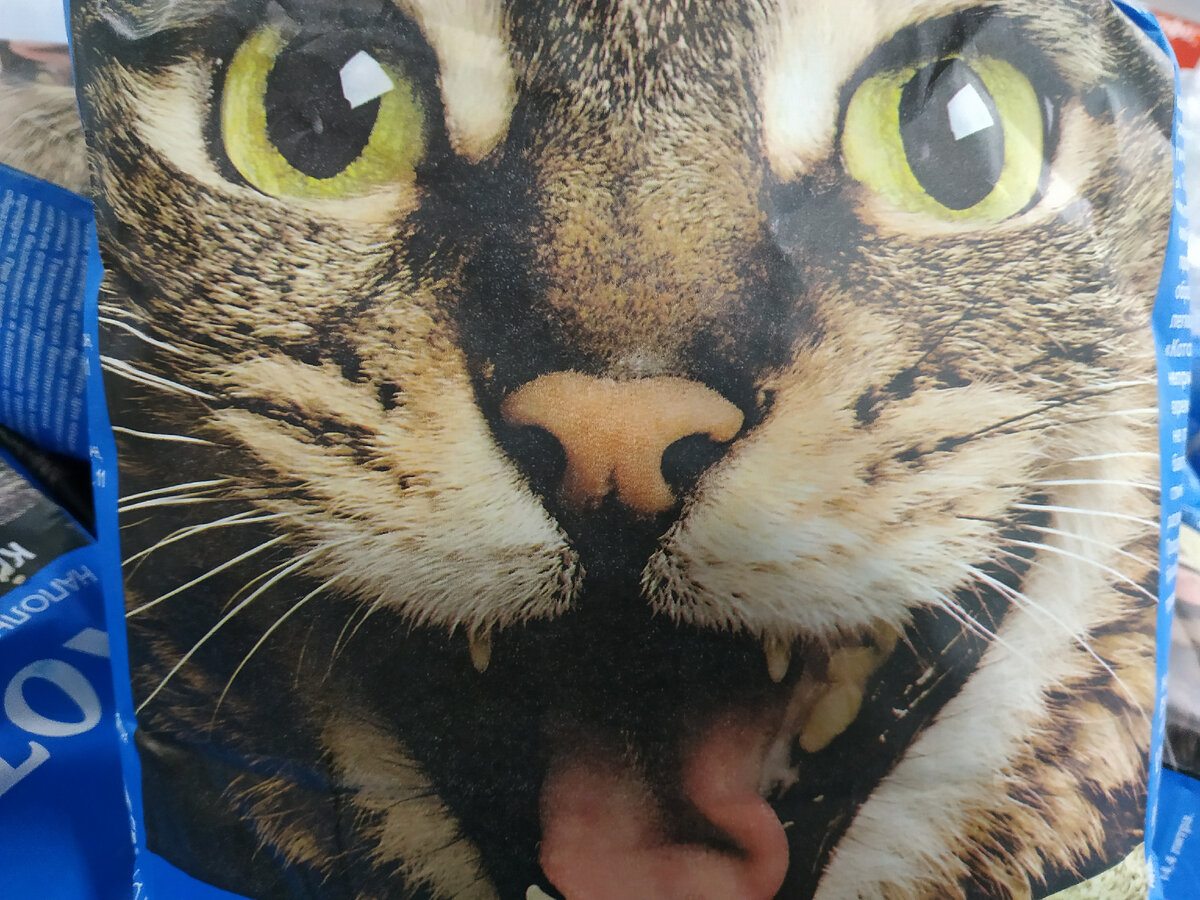 21 июня 2022 года Новинки в Светофоре июнь 2022. Магазин Светофор каталог товаров и цены июнь 2022. Акции в Светофоре сегодня. Акция Светофор 21.06.2022.Светофор акции. 