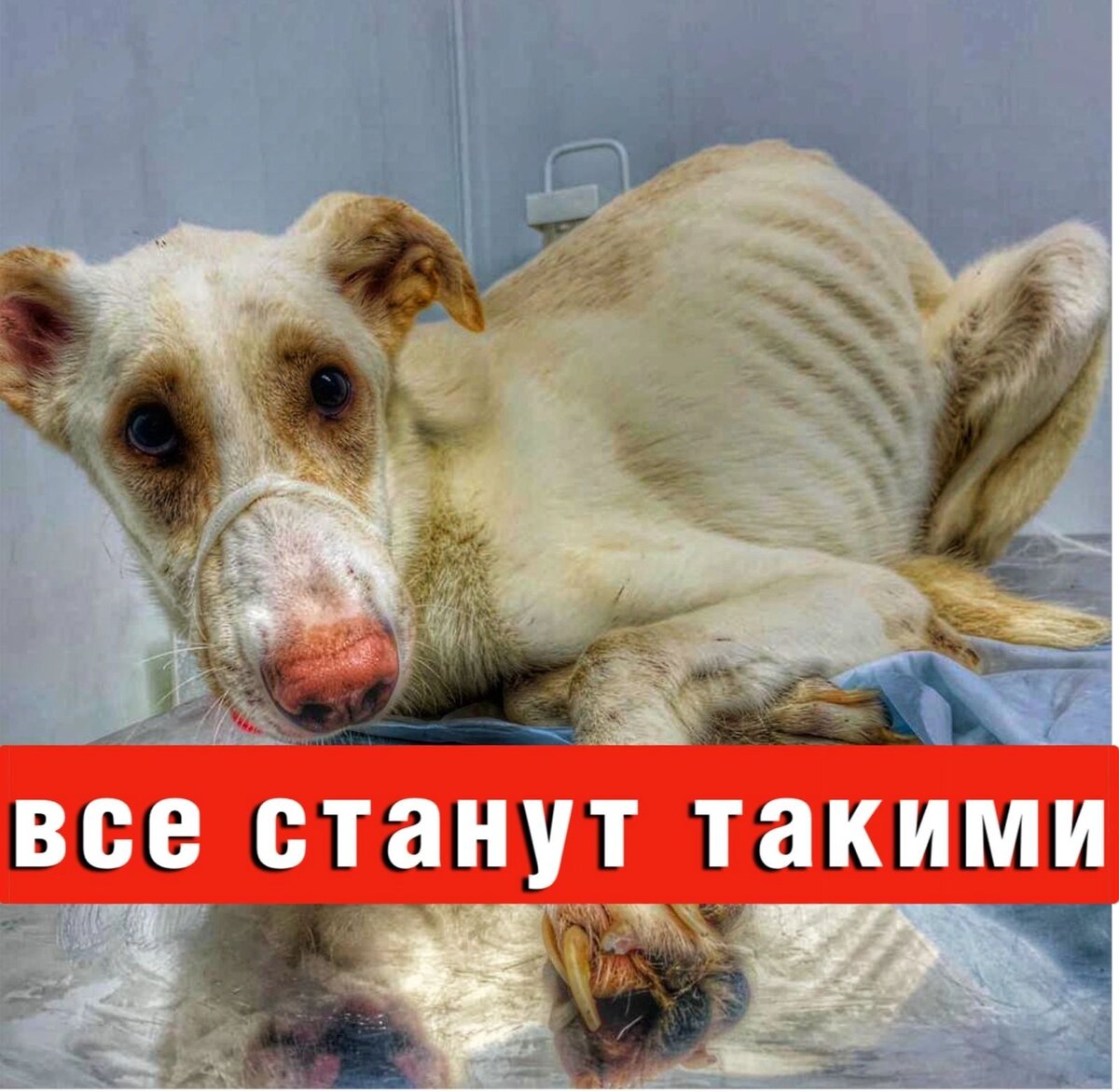 Мы не можем этого допустить 