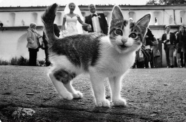 Фото © Reddit / maybesaydie