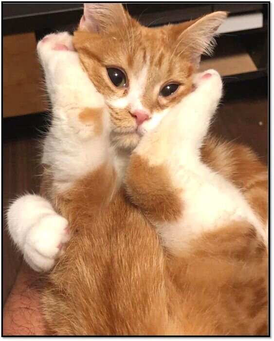 Да что вы говорите?..