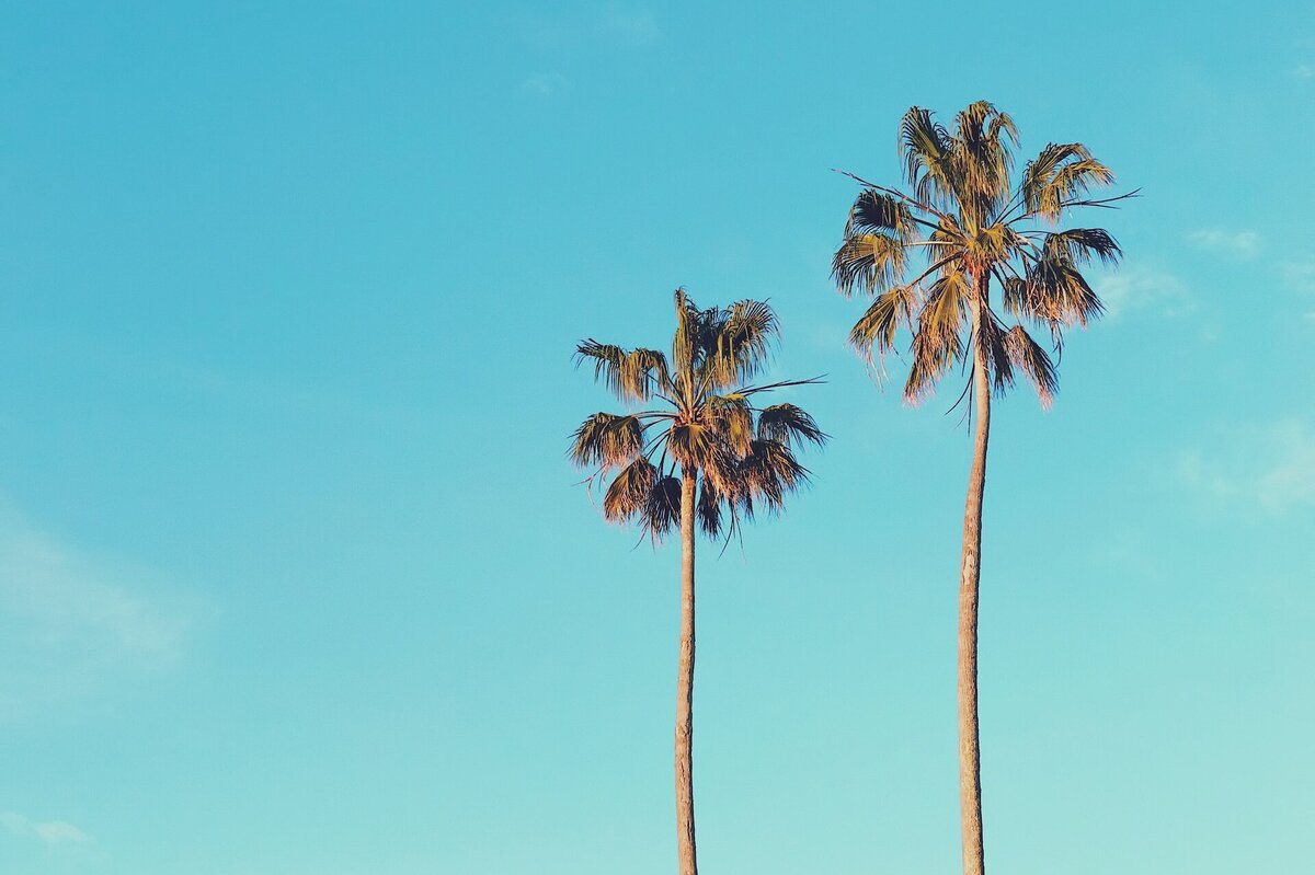     7 мифов о пальмовом масле: популярные заблуждения вперемешку со страхами