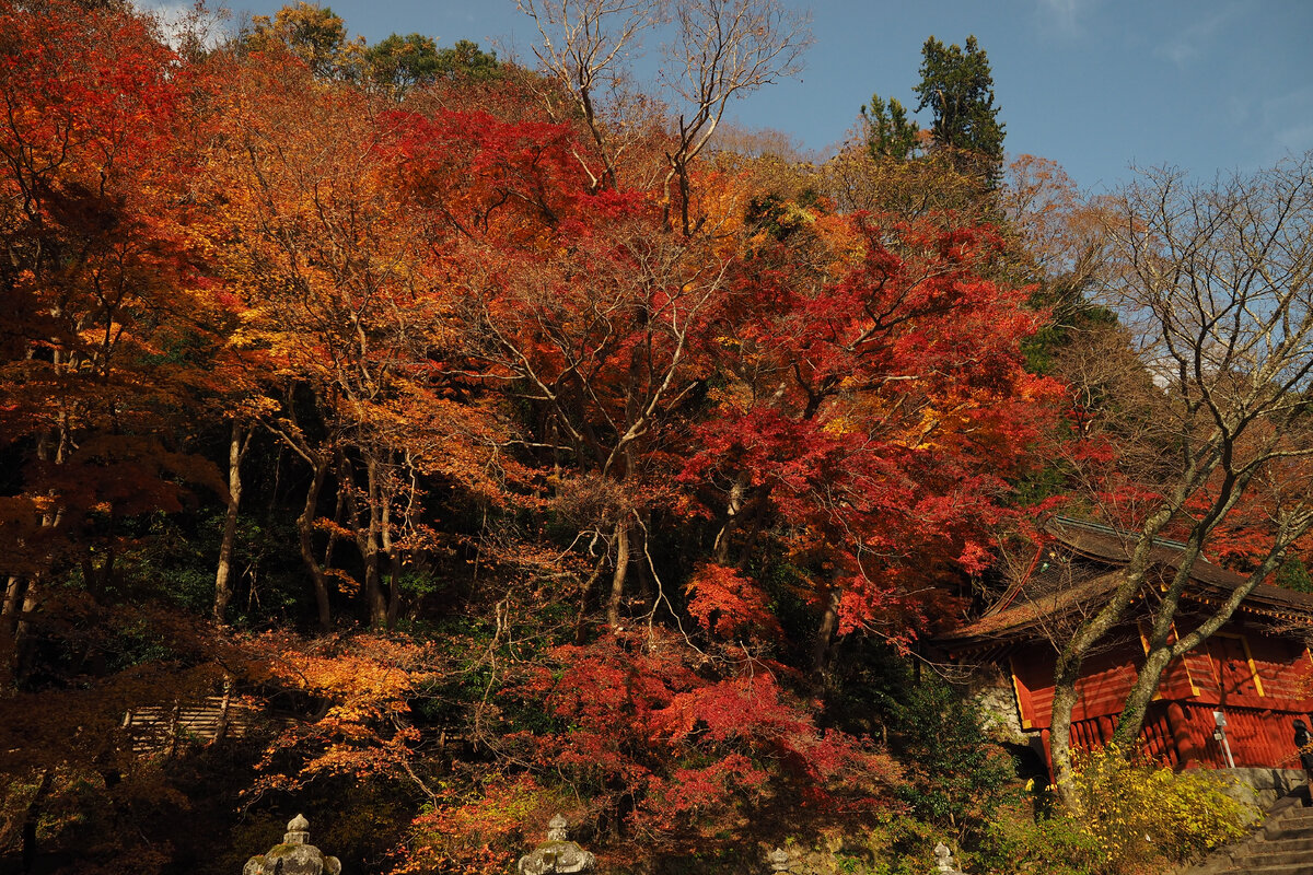 Осень в Ёсино (фото автора)