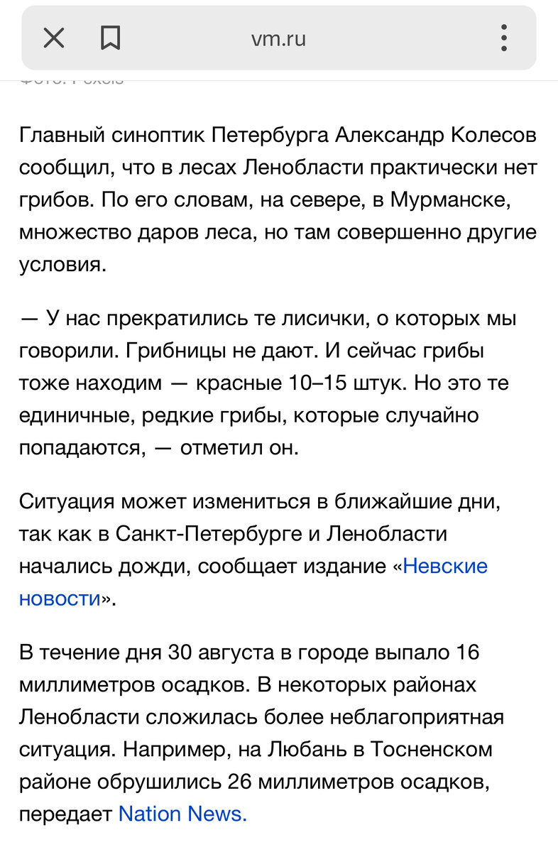 Синоптики авторитетно считают, что после аномально жаркого, сухого августа в ближайшие дни попрут грибы….Если не умеют делать прогнозы погоды, так потренируются теперь на грибах…..Понятно, что чушь несусветная…..Особенно про «неблагоприятные 26 мм осадков»…..