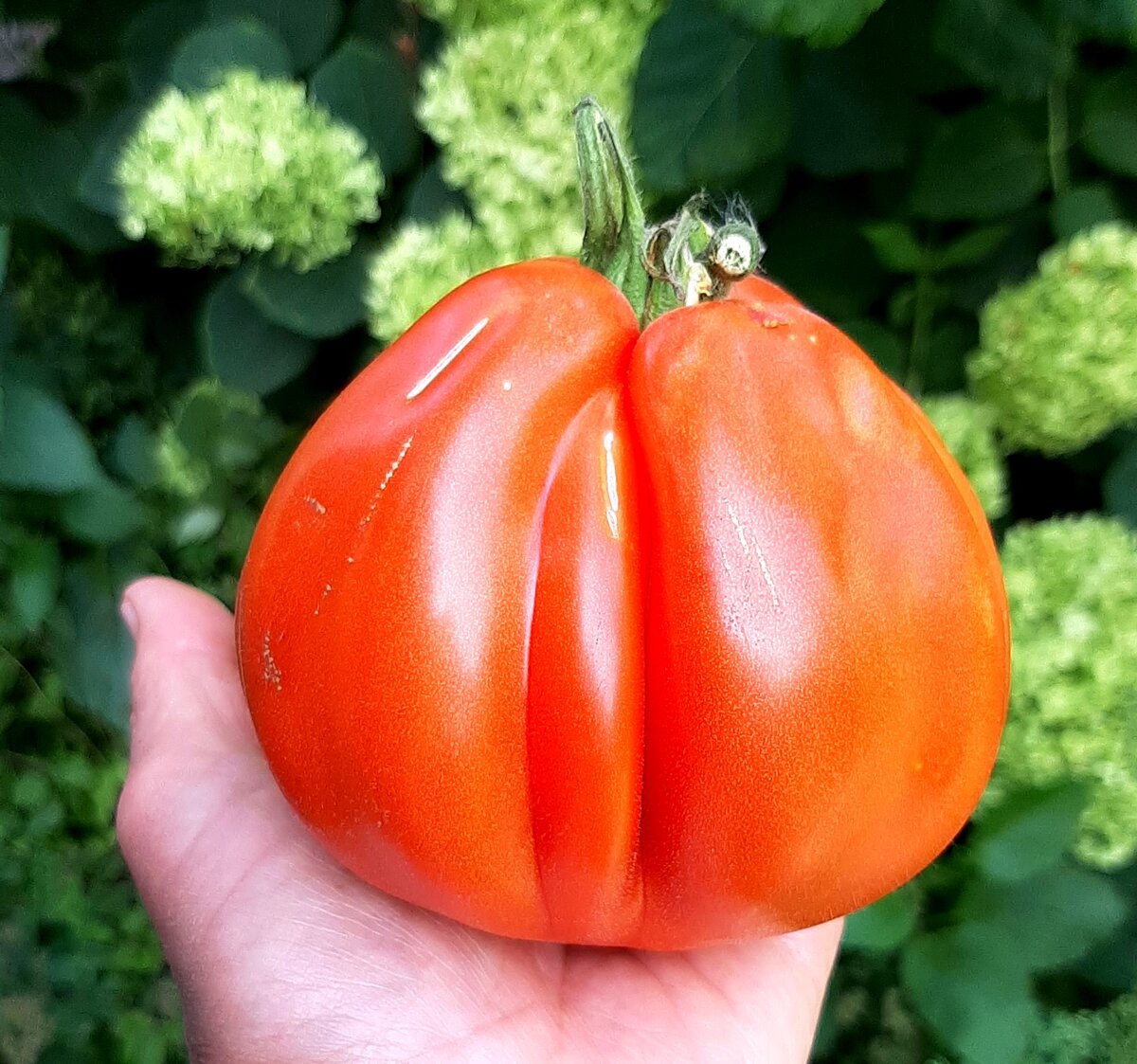 Фото автора.