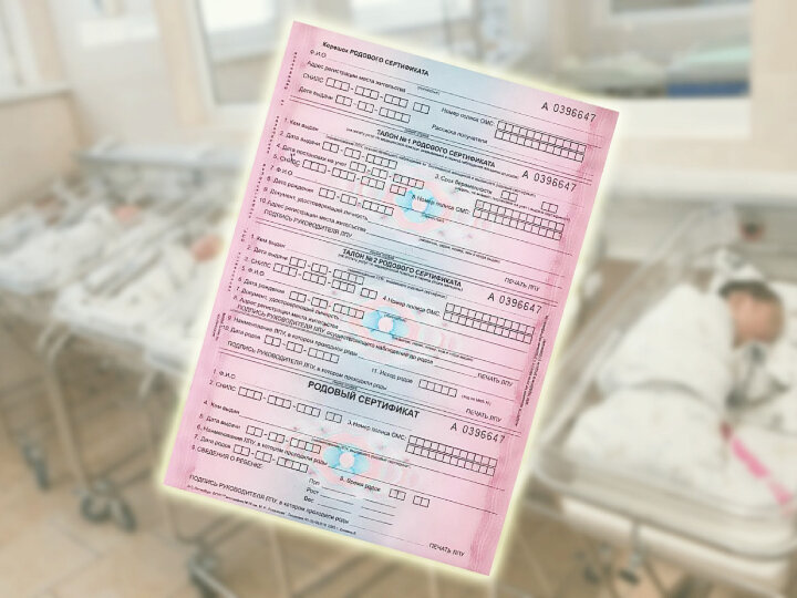 Источник: https://altadm.gosuslugi.ru