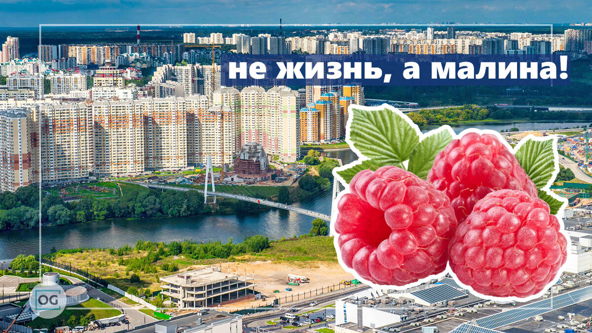 Картинки не жизнь а малина