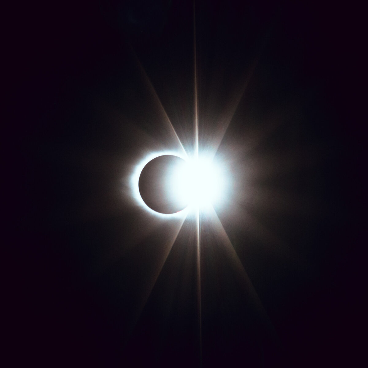 https://unsplash.com/photos/bx4WS8mhz3w