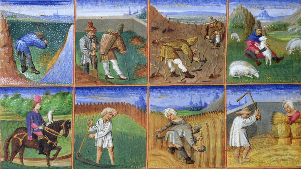 Иллюстрация XV века к книге Пьетро де Крещенци "О выгодах сельского хозяйства" (Opus Ruralium Commodorum). Изображение: Musée Condé, Chantilly, France