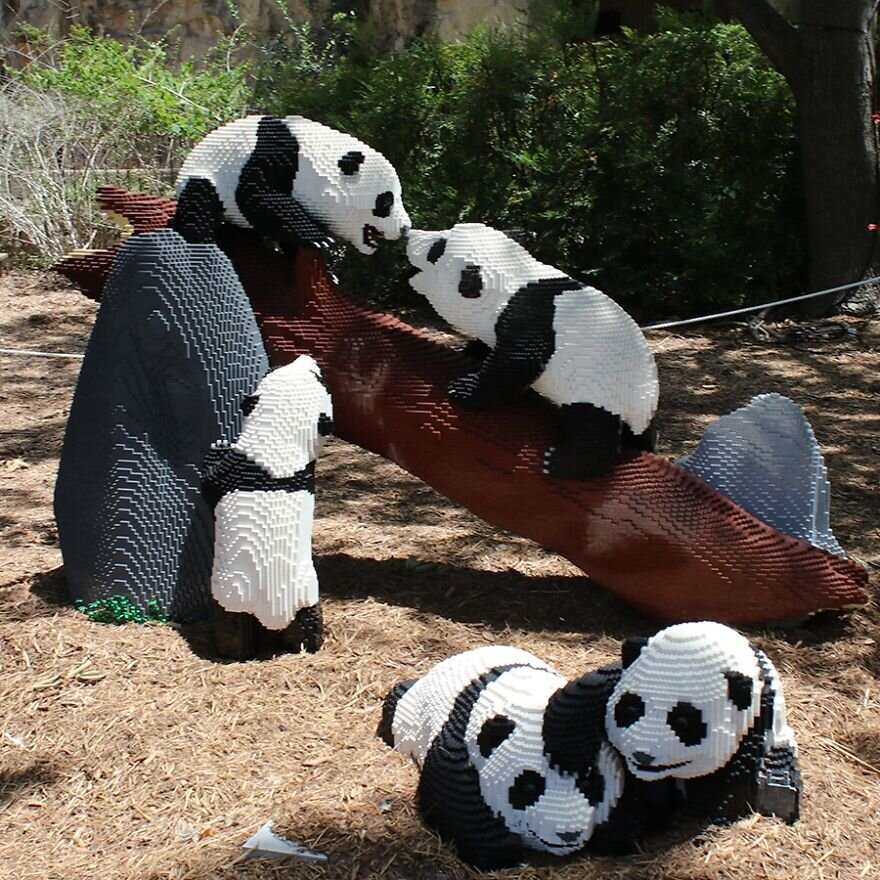  SanAntonioZoo 